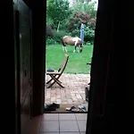 Проживание в семье Dolina Wardynki *