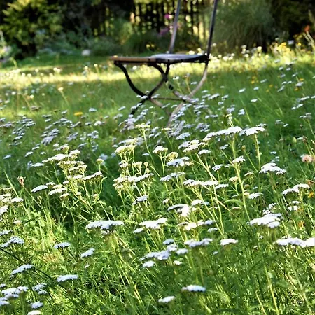 Dolina Wardynki Homestay *