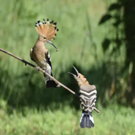 Dolina Wardynki Kwatera prywatna Suliszewo