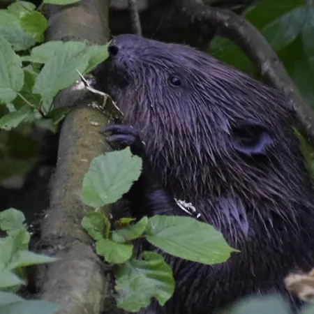 Dolina Wardynki Kwatera prywatna *