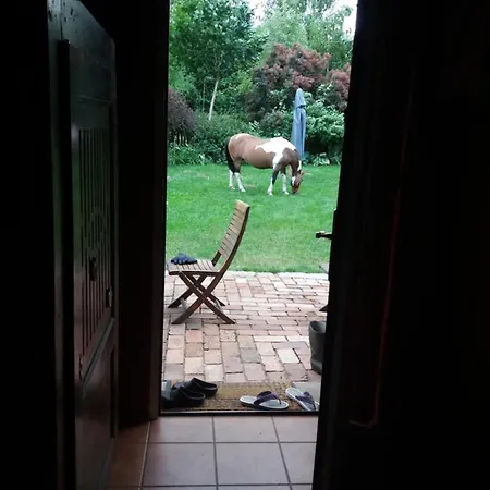 Kwatera prywatna Dolina Wardynki *