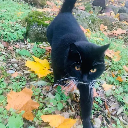 Dolina Wardynki Kwatera prywatna *