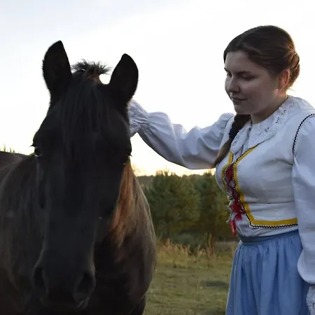 Dolina Wardynki * Suliszewo