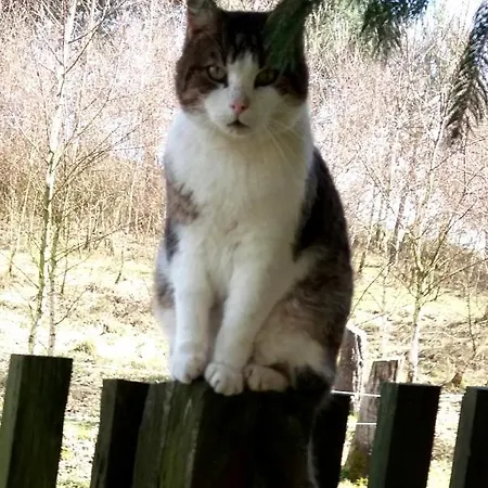 Kwatera prywatna Dolina Wardynki *