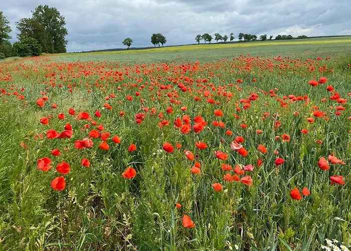 Dolina Wardynki Privatunterkunft