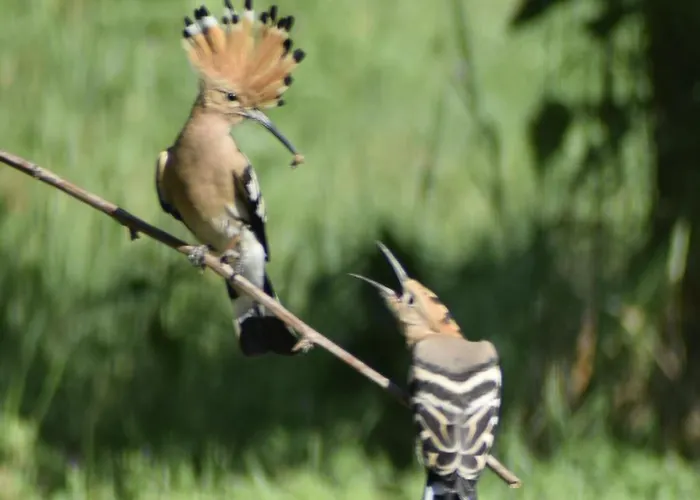 Dolina Wardynki Privatunterkunft Suliszewo