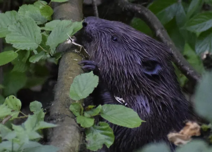 Dolina Wardynki Ubytování v soukromí *