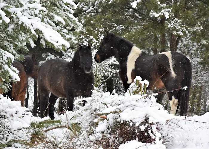 Dolina Wardynki Privatunterkunft *