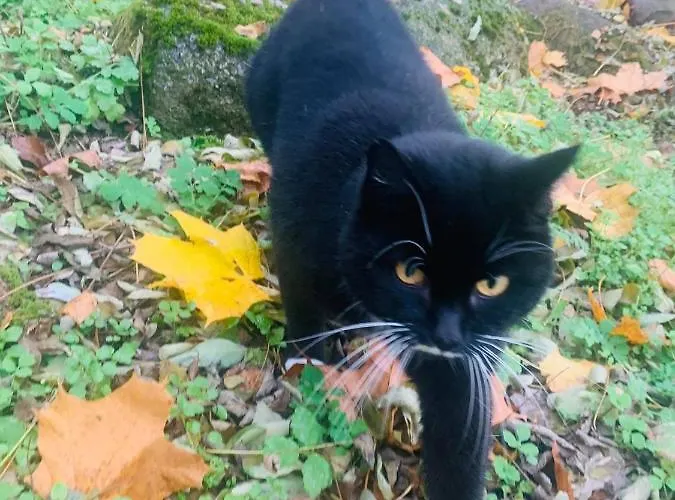 Dolina Wardynki Privatunterkunft *